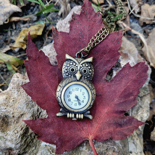 Owl Pocket Watch Necklace, Owl Jewelry, Owl Clock