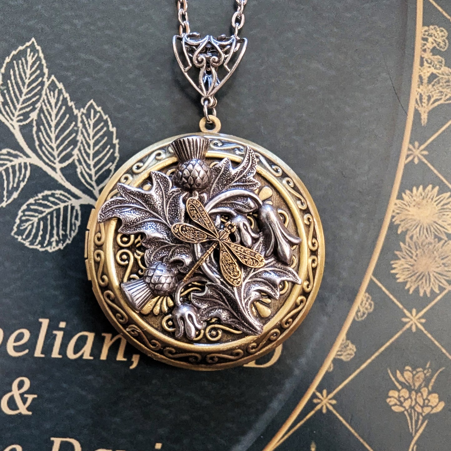 An antique-style round locket pendant necklace featuring a dragonfly motif over leaves and berries, displayed on a dark textured book page with gold botanical illustrations.